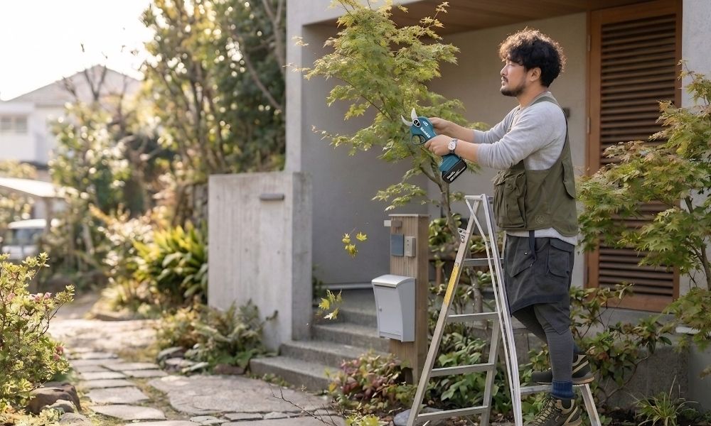 香芝市で植木屋が脚立に乗って庭木の剪定作業をしている様子
