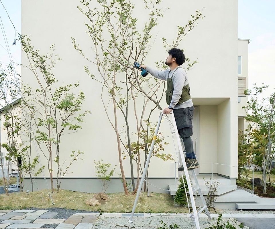 香芝市の個人宅で剪定作業をしているに植木職人の写真