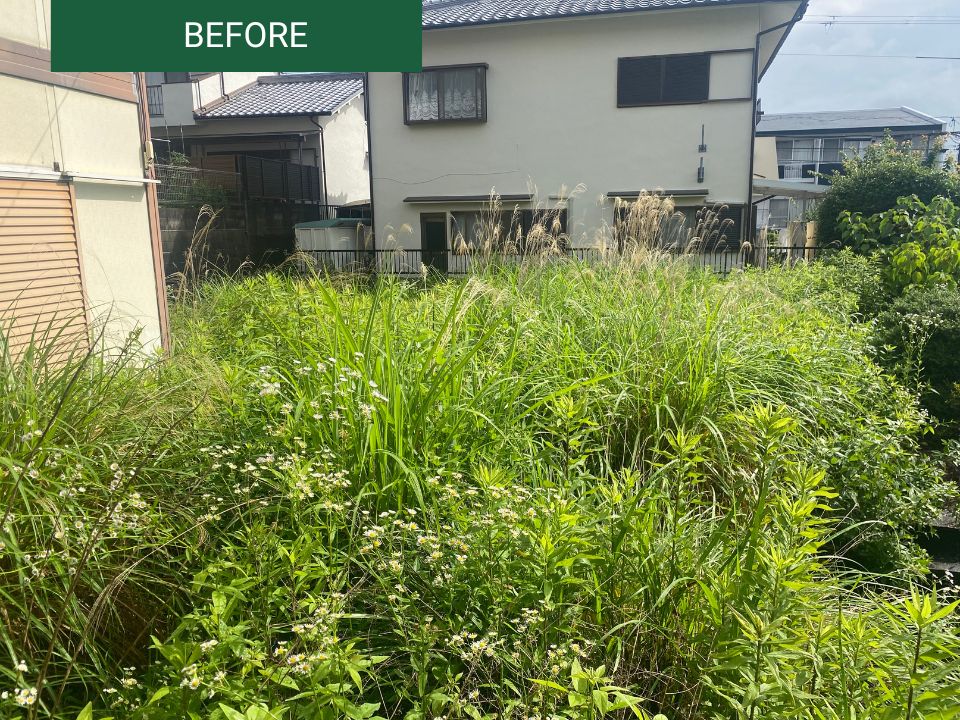 雑草で生い茂った敷地のの写真